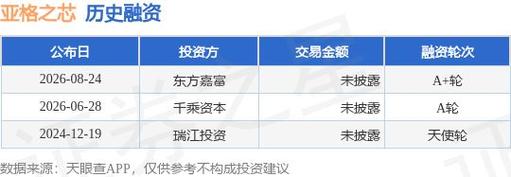 解码数字时代的核心技术链 从技术转让到安全软件开发